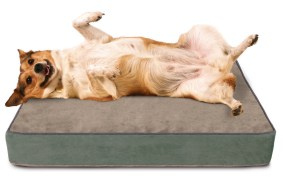 Dog Bed Protector - Protect Your Dog Bed From Liquids, Stains, and Odors